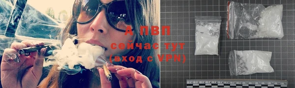 спиды Абаза