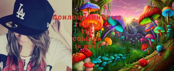эйфоретик Абинск