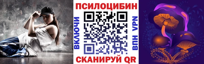 Псилоцибиновые грибы Psilocybine cubensis  Питкяранта 